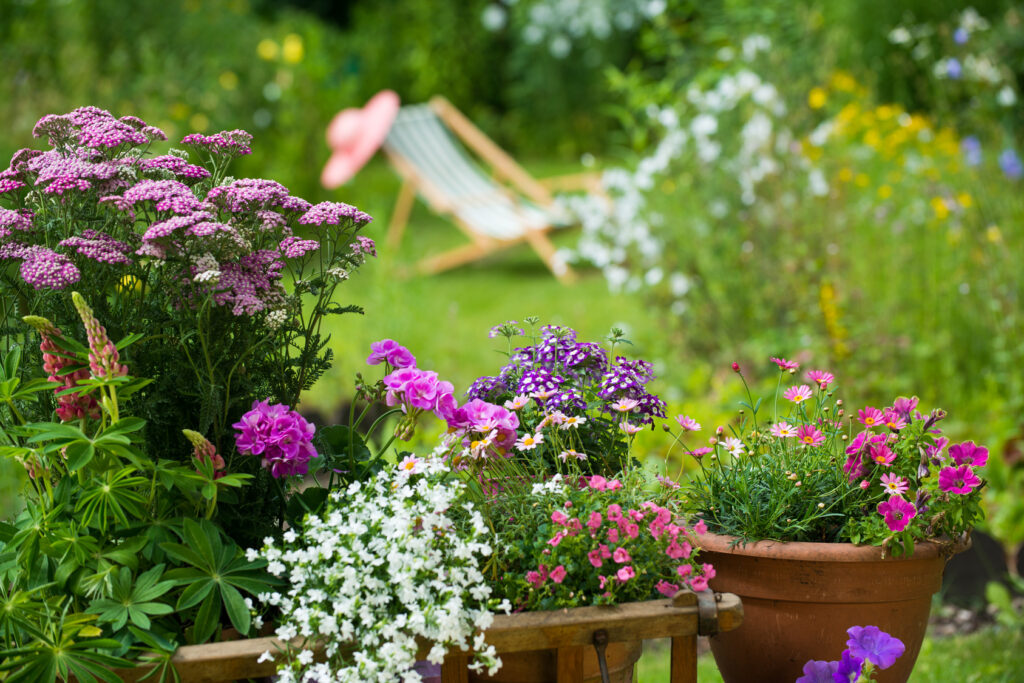 Im Vordergrund Blumen in großen Pflanzgefässen, im Hintergrund ein Liegestuhl auf einer grünen Wiese