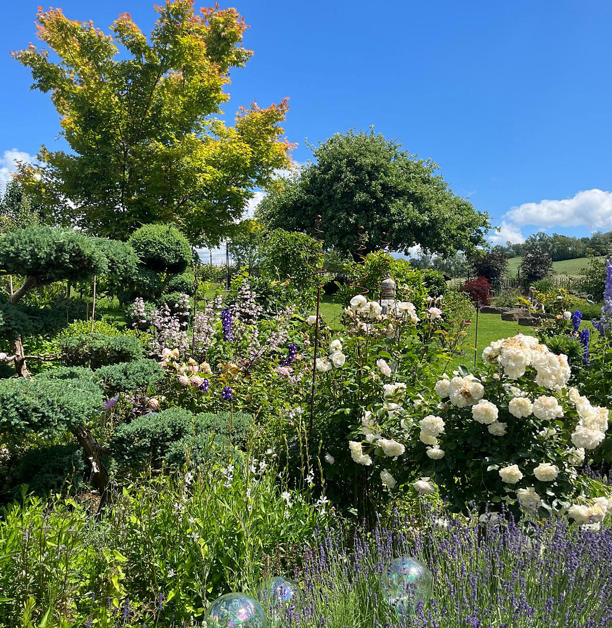 Üppige Rosensträucher im Vordergrund, dahinter ein großzügige Gartenlandschaft mit hohen Bäumen